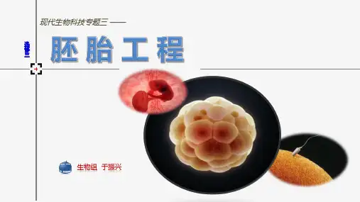 Chapter3.2体外受精和早期胚胎培养+3.3胚胎工程的应用及前景