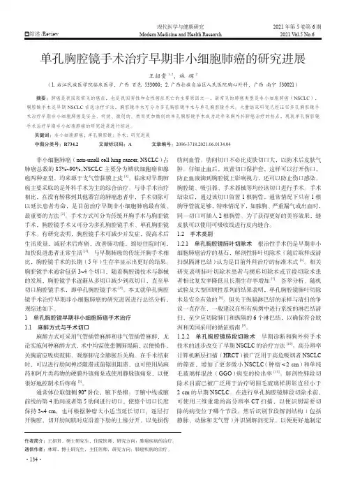 单孔胸腔镜手术治疗早期非小细胞肺癌的研究进展