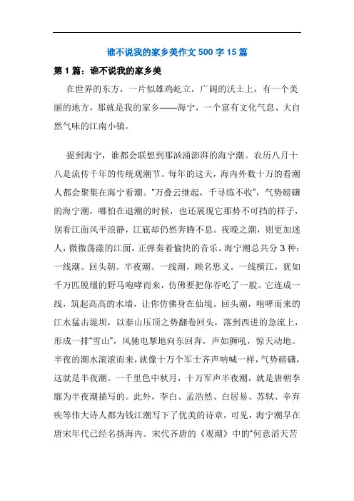 谁不说我的家乡美作文500字15篇
