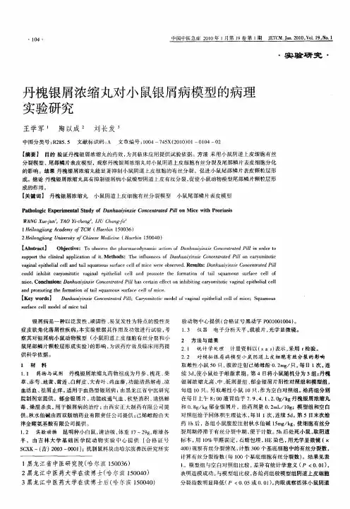 丹槐银屑浓缩丸对小鼠银屑病模型的病理实验研究
