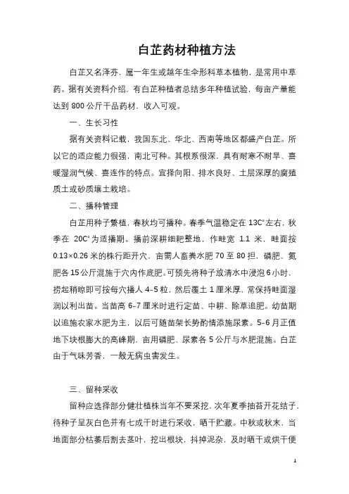 白芷药材种植方法