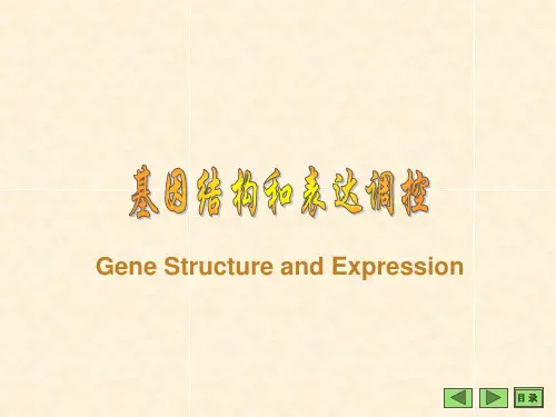 RNA聚合酶-生物化学与分子生物学