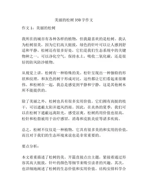 美丽的松树350字作文