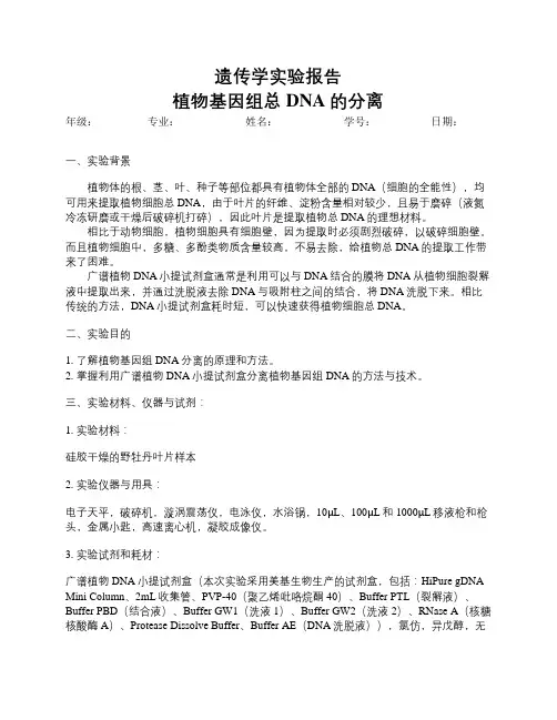 遗传学实验报告植物基因组总DNA的分离