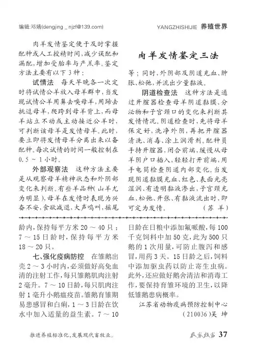 肉羊发情鉴定三法