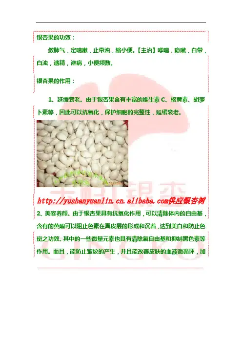 银杏果(白果)功效与作用