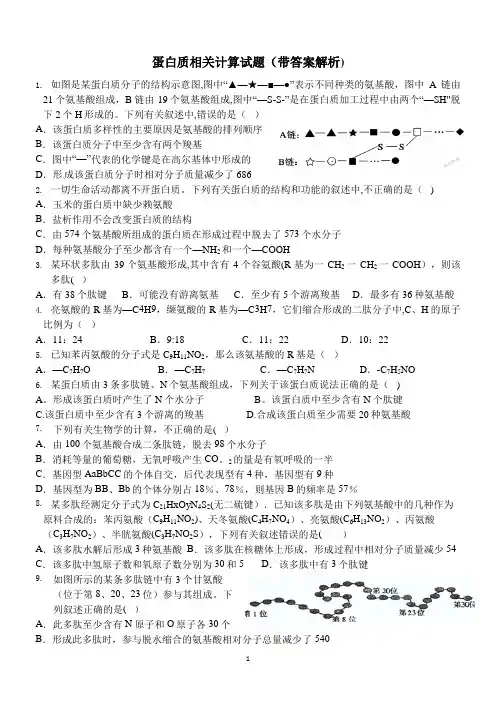 蛋白质相关计算试题(带解析)
