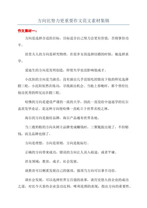 方向比努力更重要作文范文素材集锦