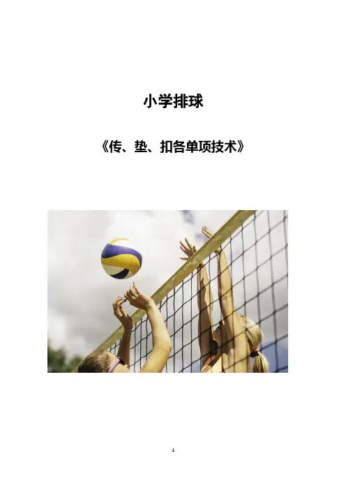 体育-小学排球《传、垫、扣各单项技术》教学设计