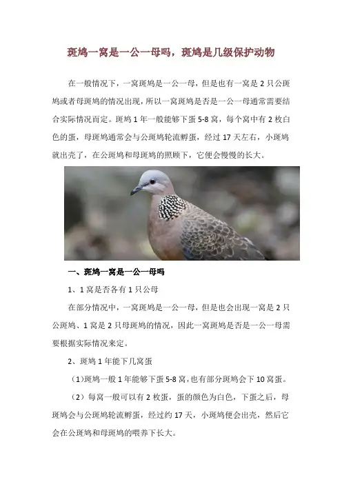 斑鸠一窝是一公一母吗,斑鸠是几级保护动物