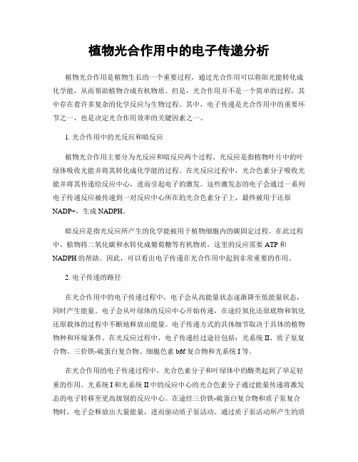 植物光合作用中的电子传递分析