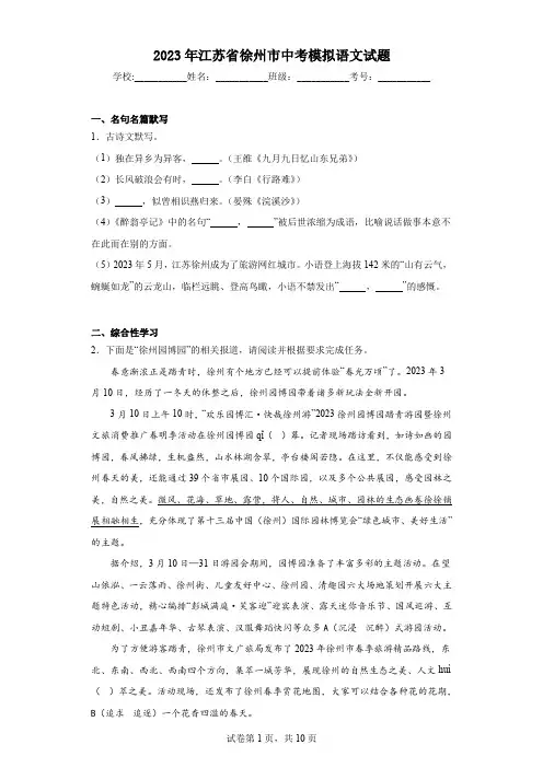 2023年江苏省徐州市中考模拟语文试题(含答案解析)