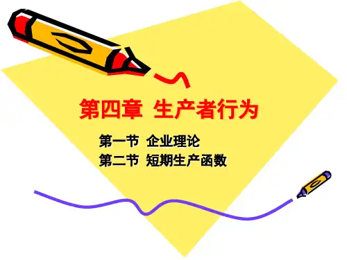 经济学第四章 生产函数