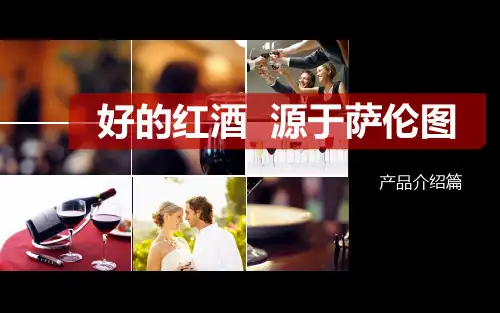 萨伦图产品介绍(2)