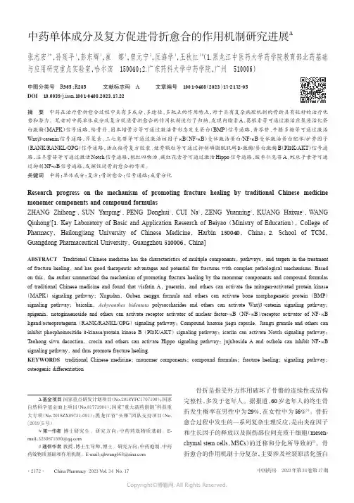 中药单体成分及复方促进骨折愈合的作用机制研究进展
