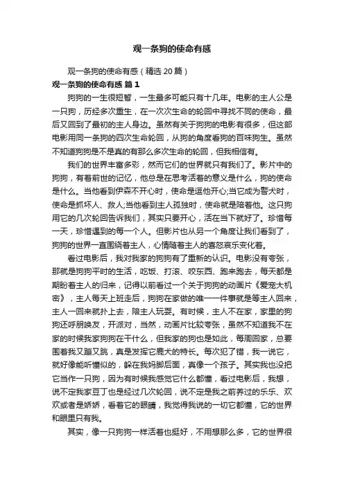 观一条狗的使命有感（精选20篇）