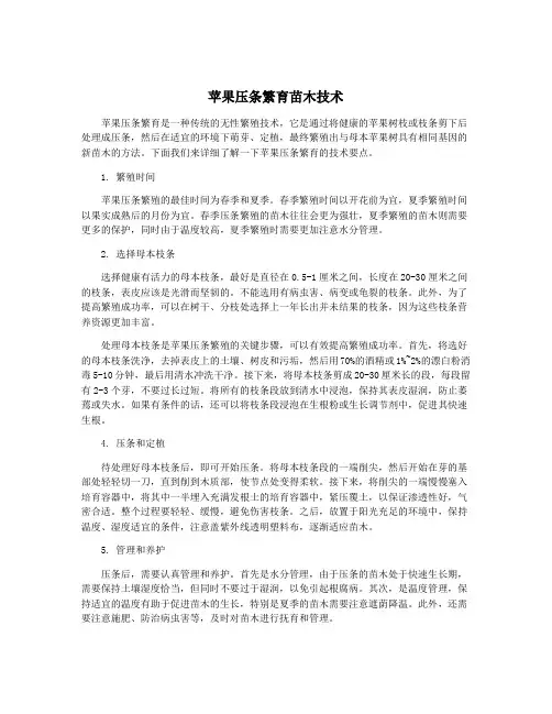 苹果压条繁育苗木技术