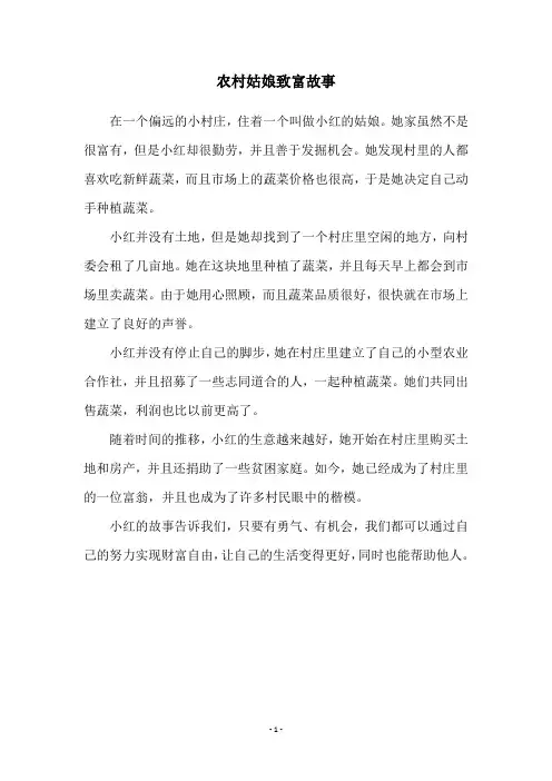 农村姑娘致富故事