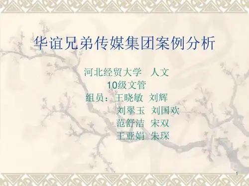 华谊传媒集团案例分析-PPT文档资料