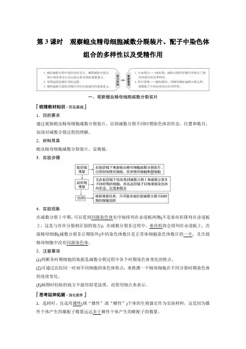 20-21版：观察蝗虫精母细胞减数分裂装片、配子中染色体组合的多样性以及受精作用（步步高）