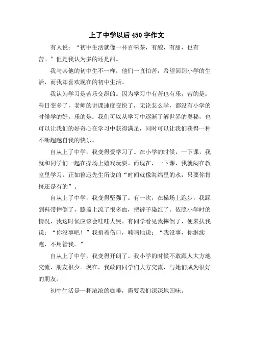 上了中学以后450字作文