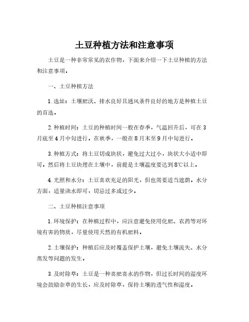 土豆种植方法和注意事项