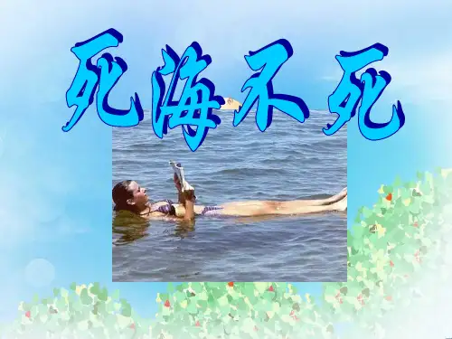 《死海不死》PPT3  图文