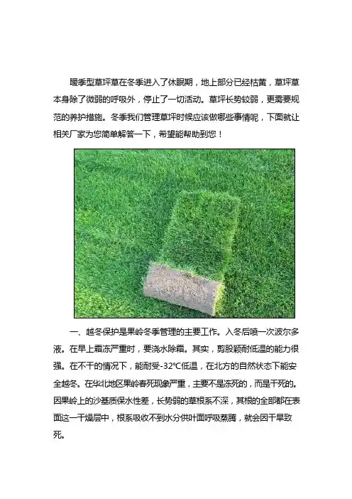 果岭草坪冬季的养护方法