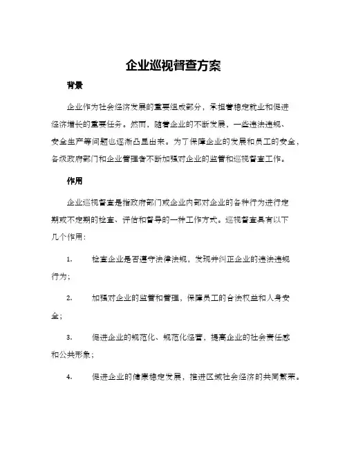 企业巡视督查方案