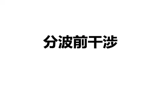 分波前干涉PPT课件