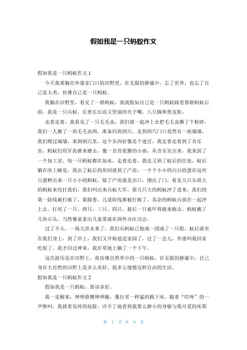 假如我是一只蚂蚁作文