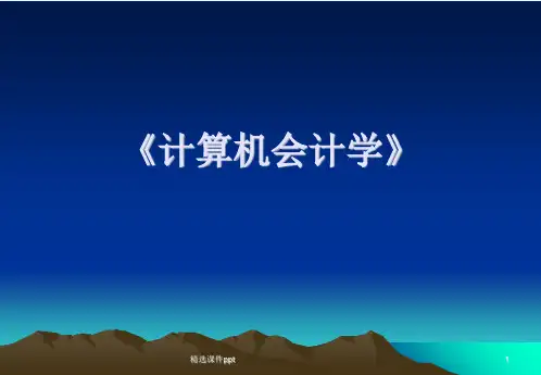 第一章会计信息系统概述1ppt课件