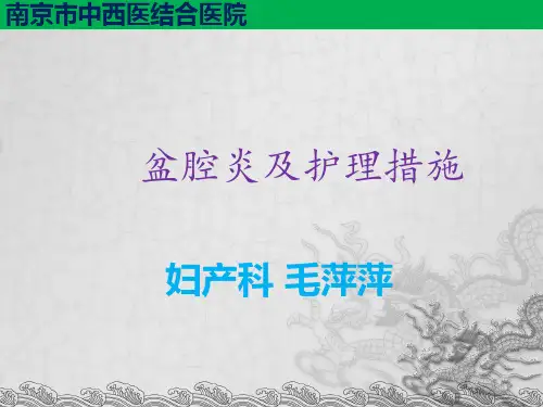 盆腔炎及护理措施PPT课件-盆腔炎的护理ppt课件