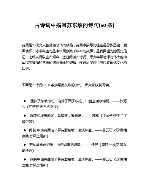 古诗词中描写苏东坡的诗句