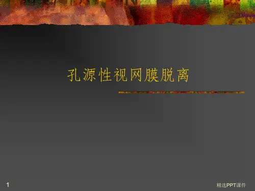 孔源性视网膜脱离图ppt课件
