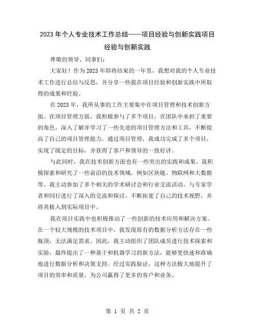 2023年个人专业技术工作总结——项目经验与创新实践