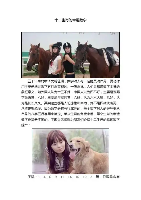 十二生肖的幸运数字