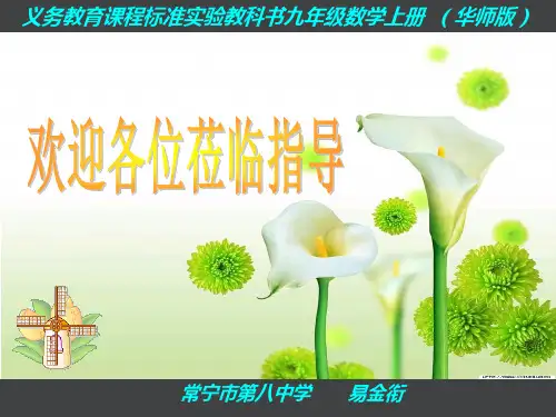 《相似图形的性质和判定》PPT