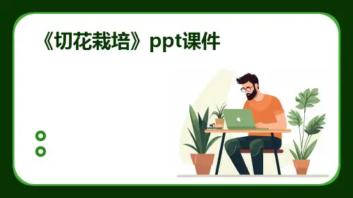 《切花栽培》课件