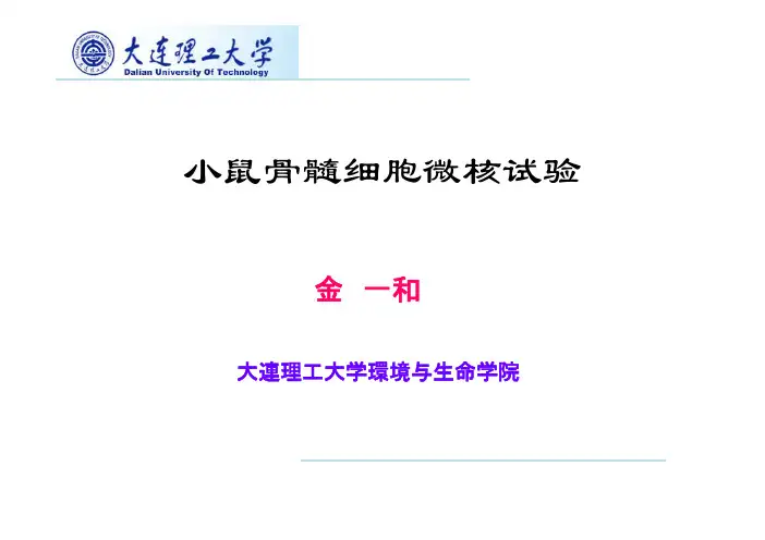 实验17 小鼠骨髓细胞微核试验