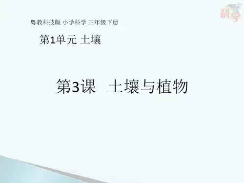 三年级下 第课 土壤与植物 粤教版