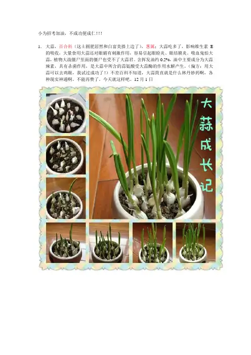 常见植物科属