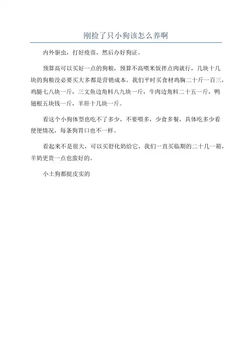 刚捡了只小狗该怎么养啊