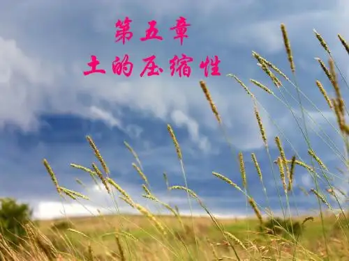 土压缩性-文档资料