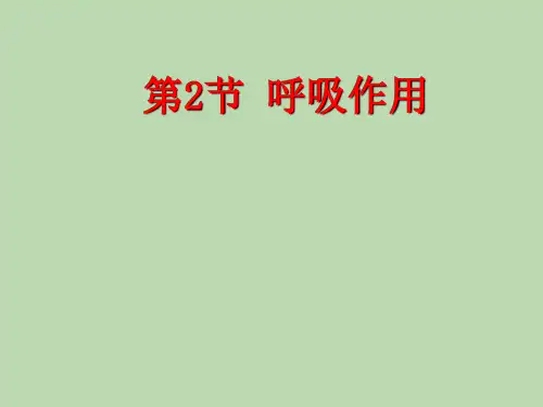 北师大版七年级上册生物课件  呼吸作用课件