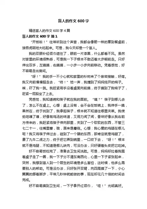 精选盲人的作文600字4篇