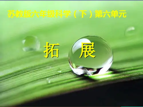 六年级下册科学课件-6.1 拓展(4)-苏教版