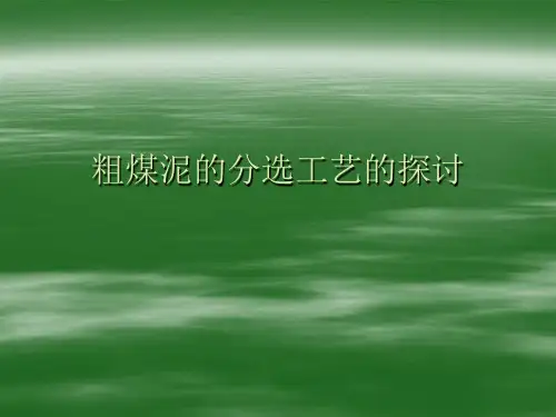 粗煤泥分选技术xin