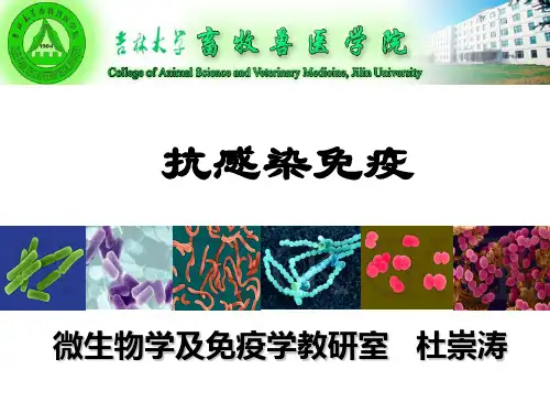 动物免疫学抗感染免疫