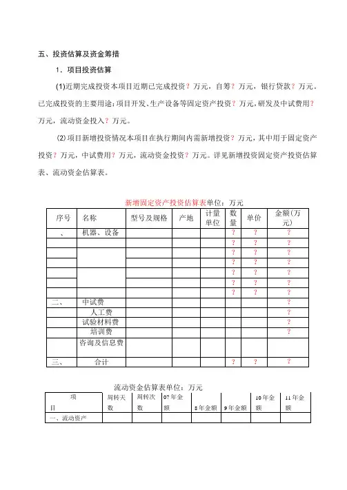 投资估算及资金筹措